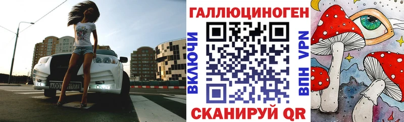 blacksprut вход  продажа наркотиков  Бугульма  Псилоцибиновые грибы Psilocybine cubensis 
